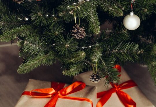 Choosing the Perfect Christmas Tree for a 9-Foot Ceiling